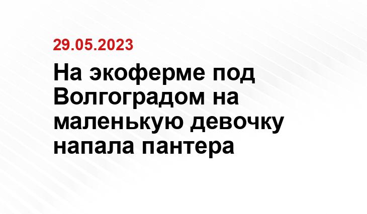 На экоферме под Волгоградом на маленькую девочку напала пантера