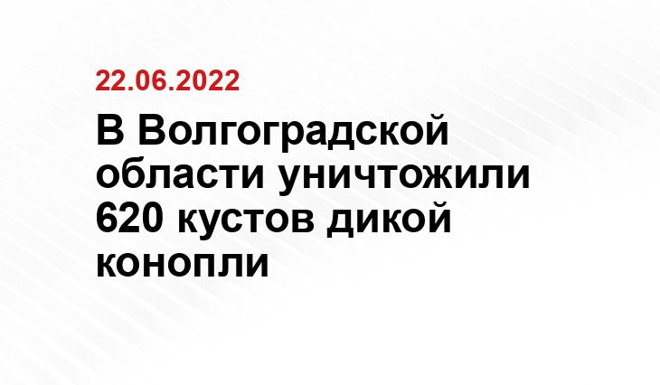 Пресс-служба ГУ МВД России по региону.