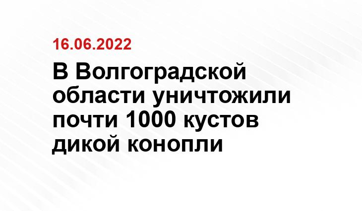 Пресс-служба ГУ МВД России по региону 