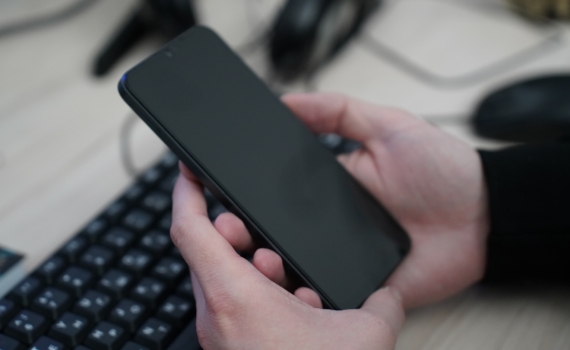 Цифровое перемирие: раскрыт секрет «иммунитета» WhatsApp* и Telegram