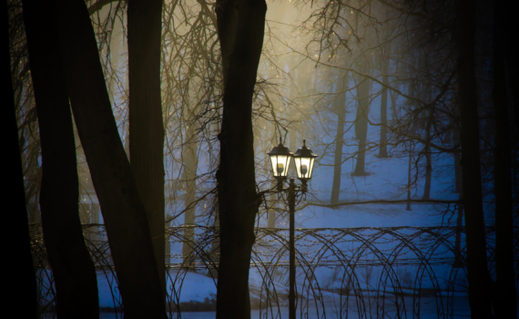 Народные приметы 30 ноября: Григорий Зимоуказатель в последний день осени предскажет зиму Народные приметы 30 ноября: Григорий Зимоуказатель в последний день осени предскажет зиму