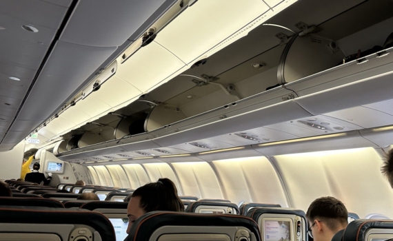 Правила перевозки ручной клади: что можно и чего нельзя делать в салоне самолета Правила перевозки ручной клади: что можно и чего нельзя делать в салоне самолета