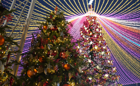 14 января 2026 — отметим Старый Новый год, День Московской области, чествуем именинников и не только 14 января 2026 — отметим Старый Новый год, День Московской области, чествуем именинников и не только